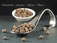 Pimentkörner Orlandosidee gewürze